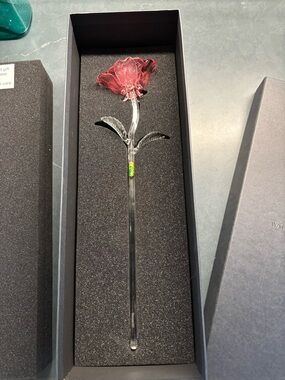 Waterford Fleurology Pink Rose